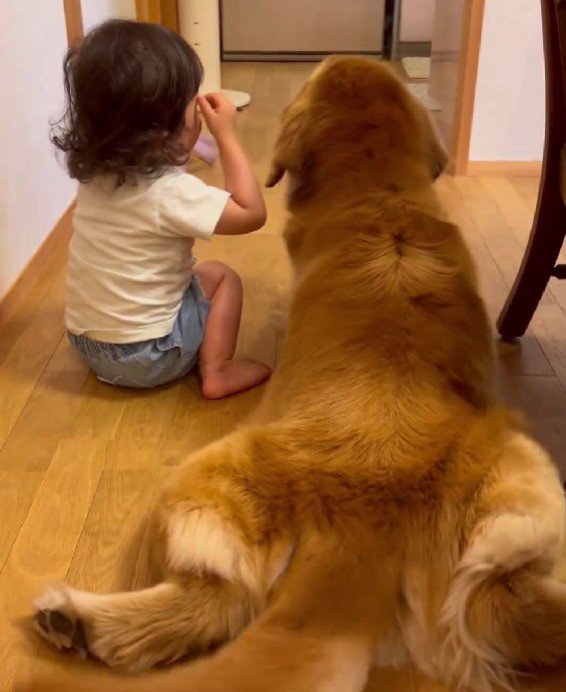 一旦正面向きになり…