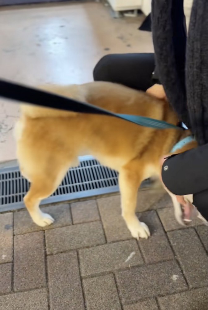 全力愛情表現！