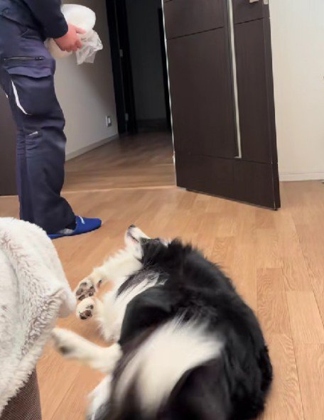 優しく撫でてくれた