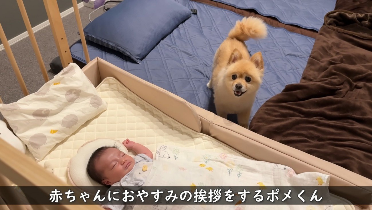 「おやすみ～。また明日ね♡」