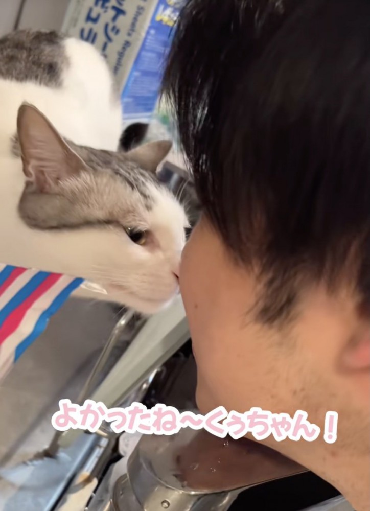 くぅちゃん「おかえり」