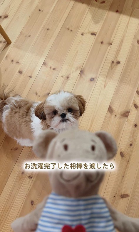 おもちゃを干した時のちゃぽちゃん9