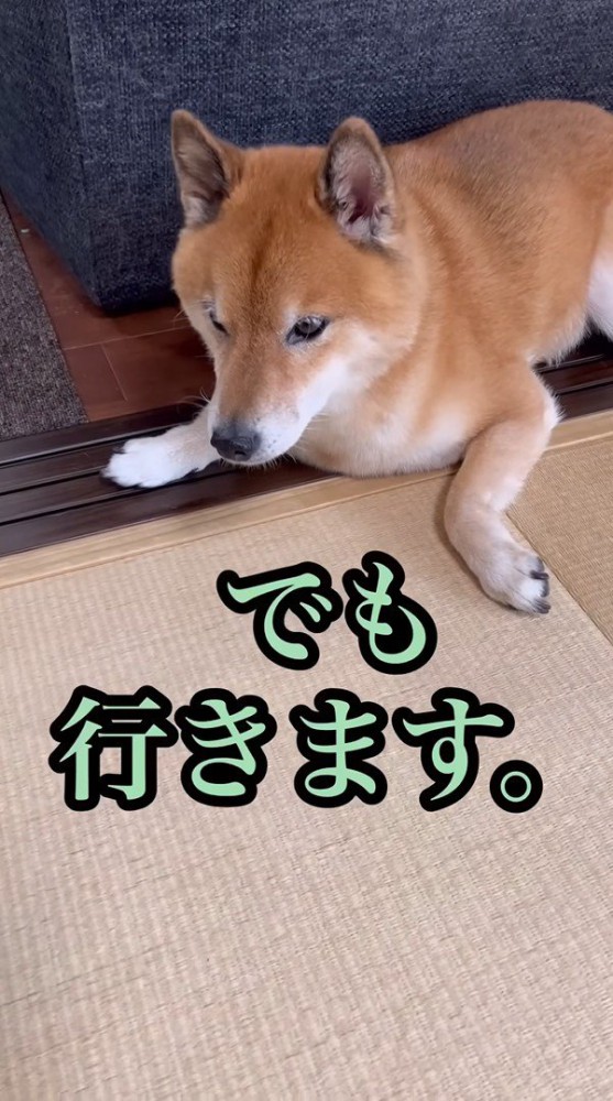強引に連れ出します！
