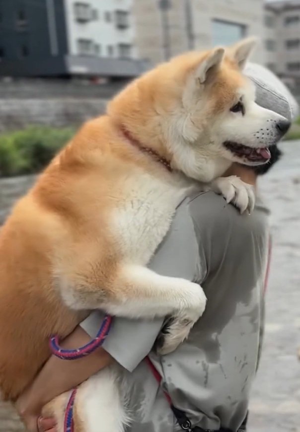 上手に抱っこされるおはるちゃん