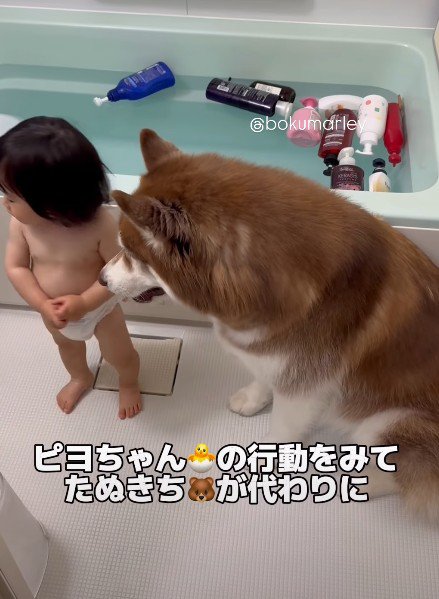 ポイポイ遊びに夢中