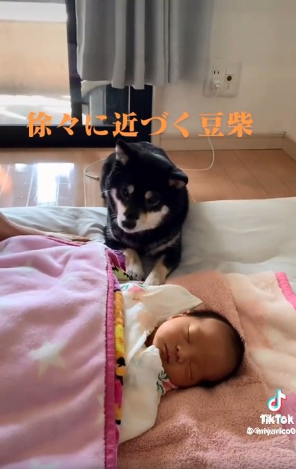 リコちゃんのそばまできたミヤビちゃん