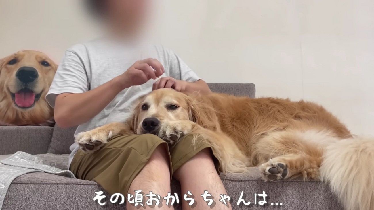 パパとお留守番のおからちゃん