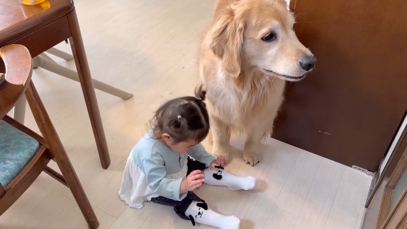 わんわんの靴下を履いて…