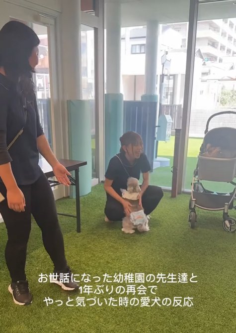 先生に駆け寄る小型犬
