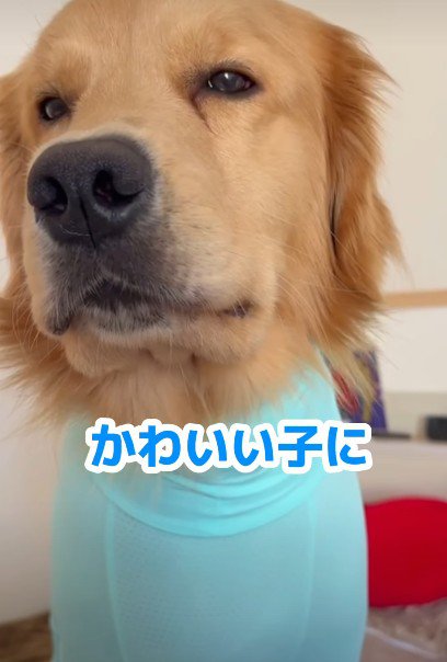 「もし笑われたら？」