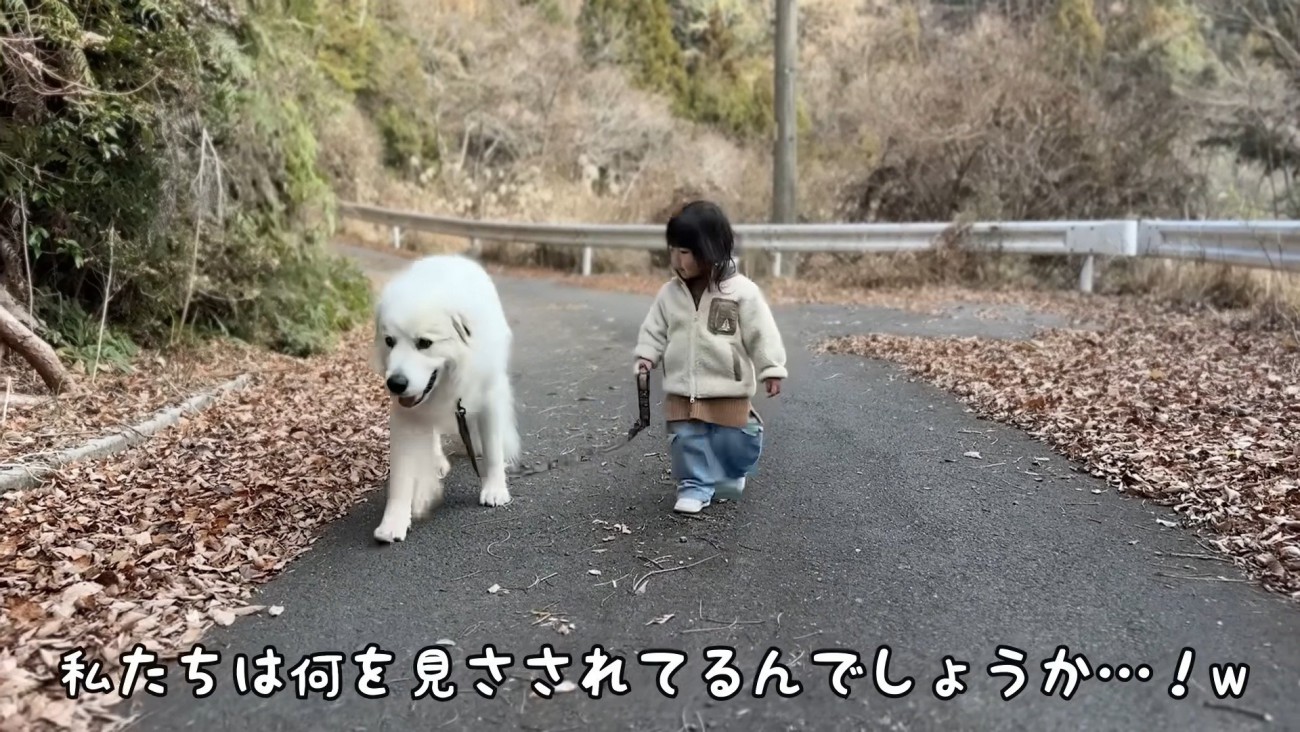 嬉しそうな顔のシュシュちゃん