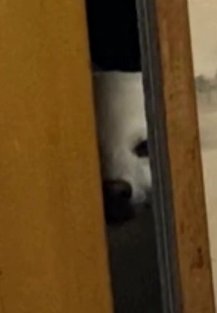 「先に行かないで」