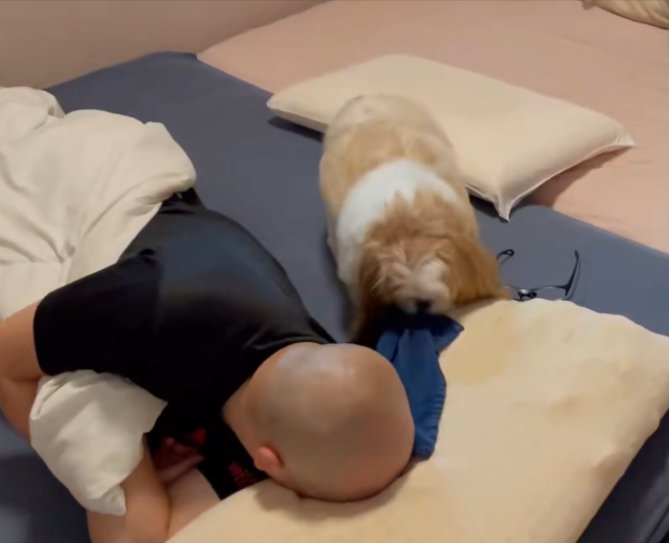 枕