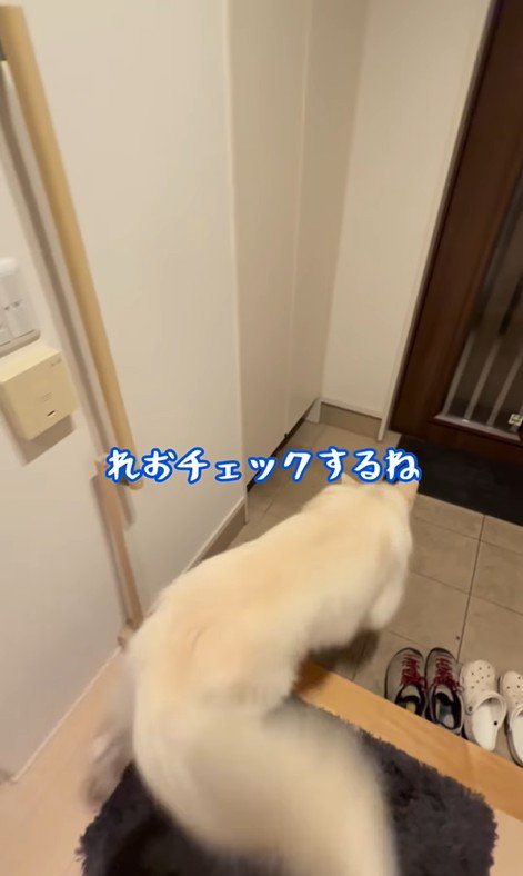 パパが隠れた時のれお君2