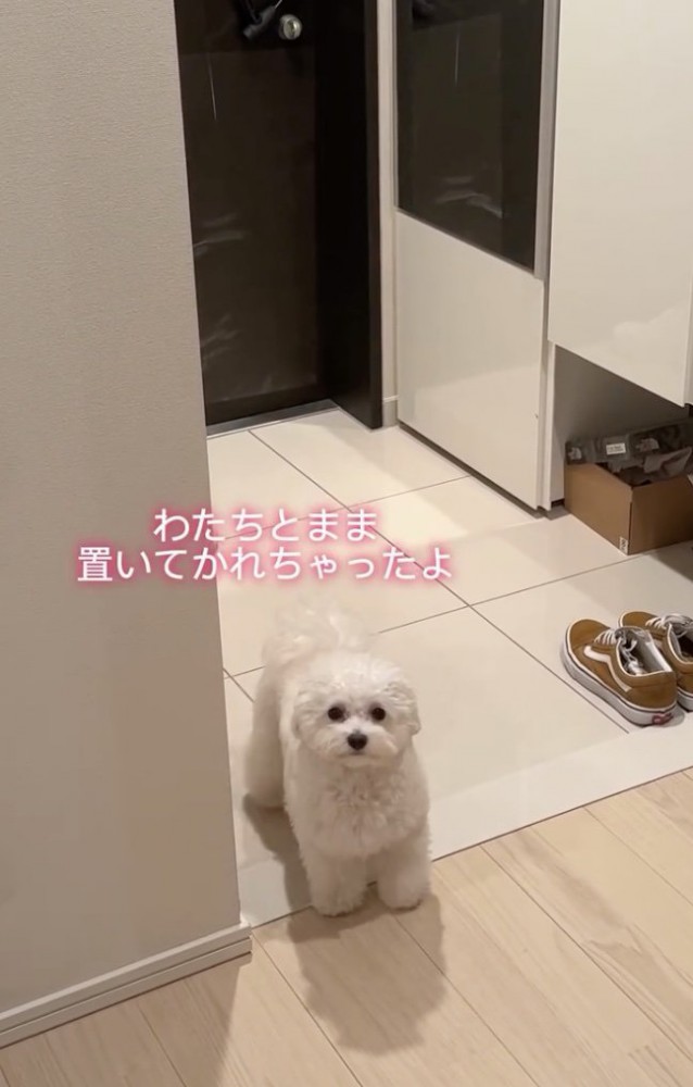 「たいへんなことです！」