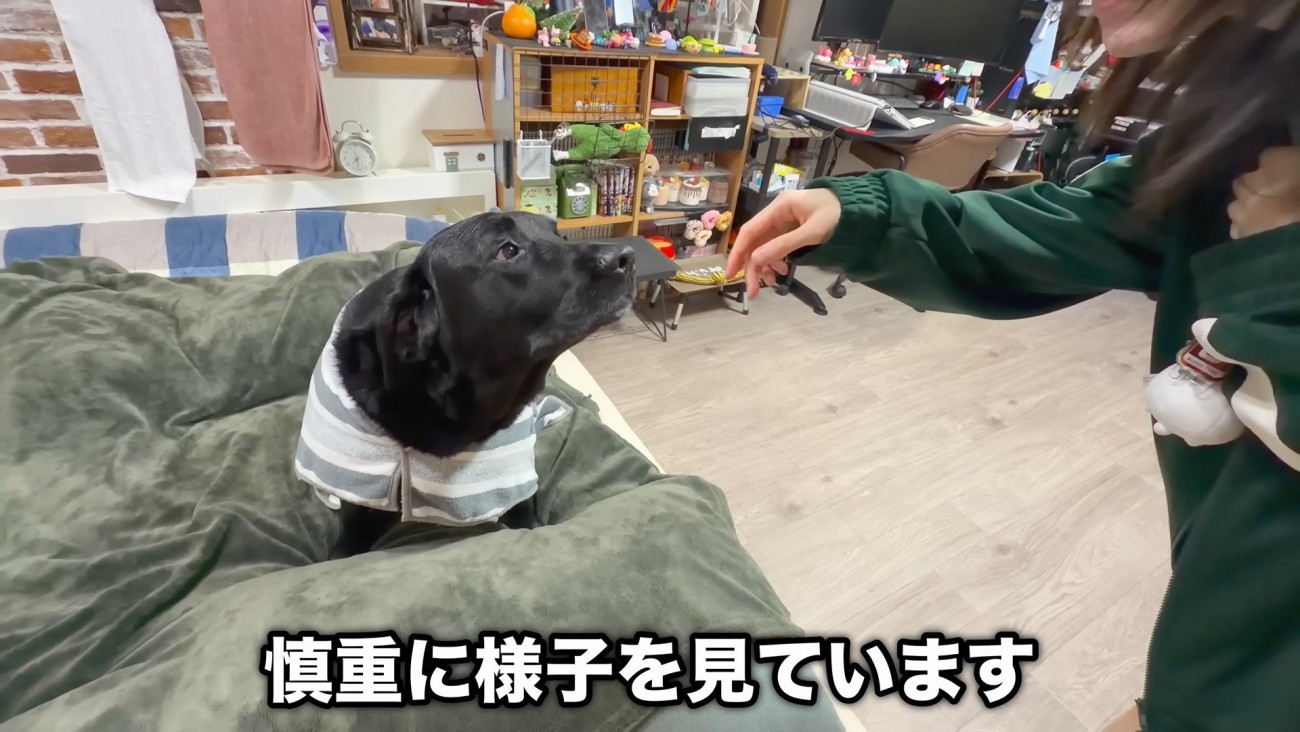 お互いに様子をうかがっています