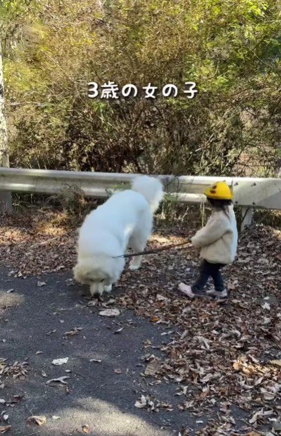 たった3歳だけど…