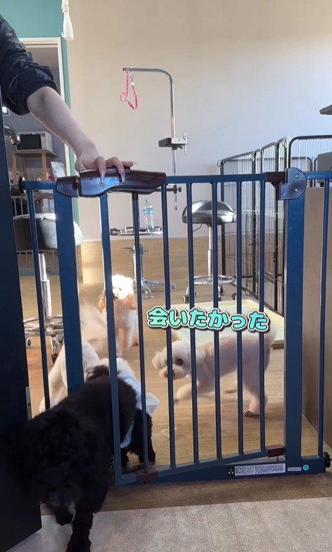 はるちゃん＆なつちゃんのお迎え7