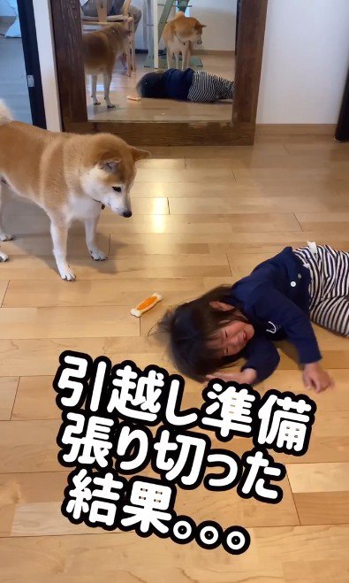 女の子がギャン泣き！