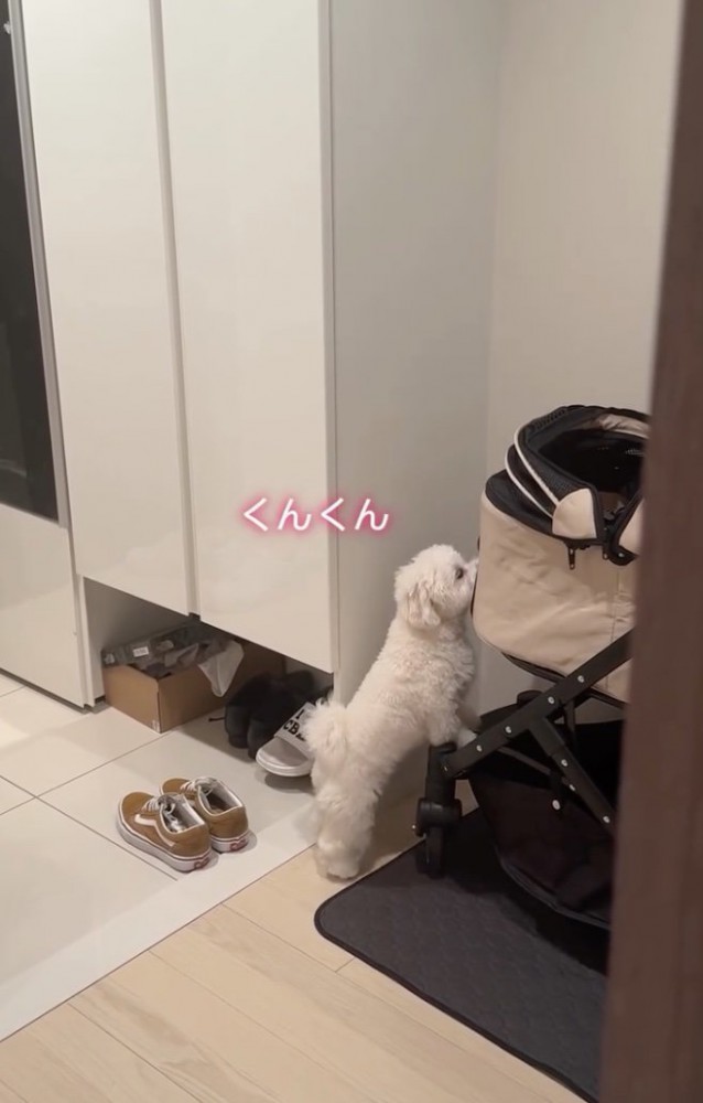 「これなら…！」