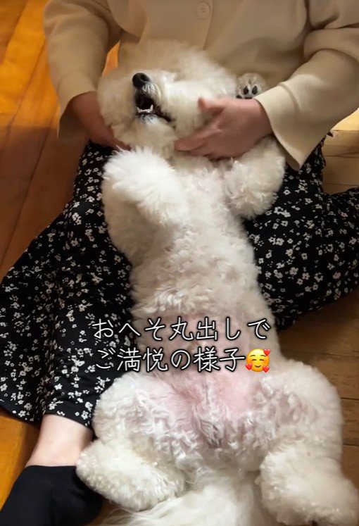 RAUくんの熱烈大歓迎⑩