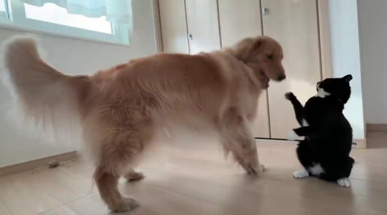 それでも遊んじゃう♪