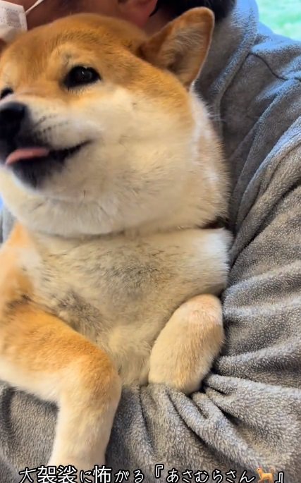 大げさなあーちゃん