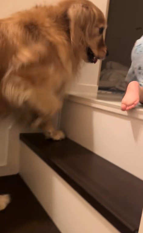 階段を登る男の子とラビーくん7