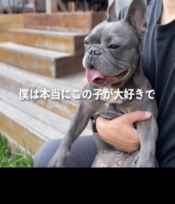 抱っこされる犬2
