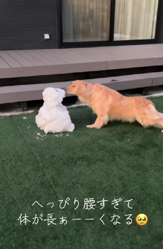 初めて『雪だるま』と対面