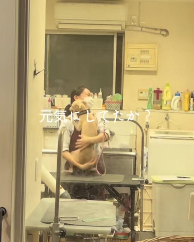 お姉さんに猛烈にハグするイタグレ