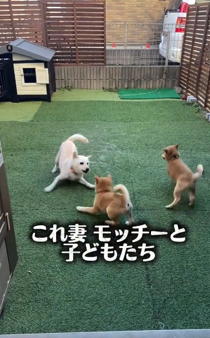 モッチーちゃんと子どもたち