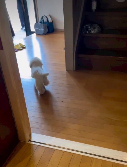 「ママだ！！」