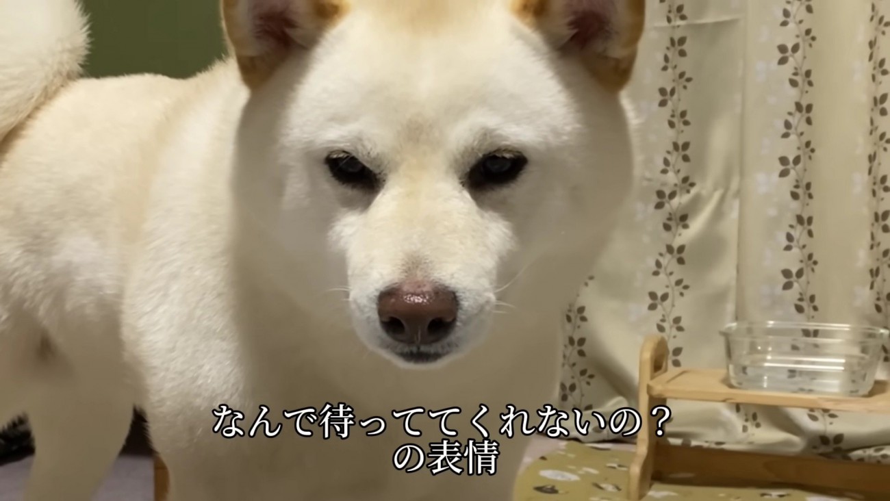 「なんで先に寝るの！」