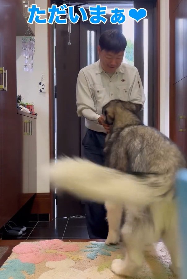 ただいまを伝えるお父さん