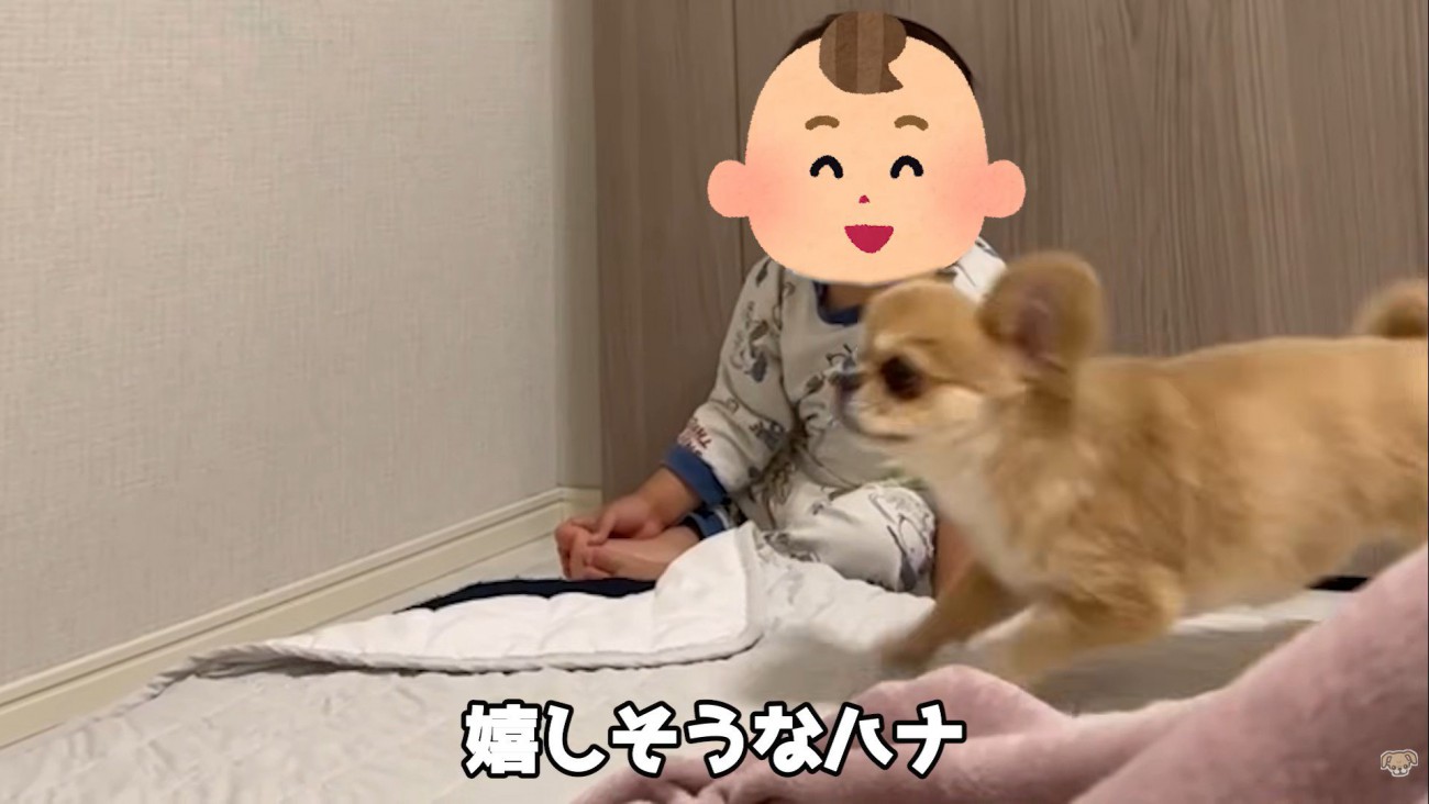 嬉しくてぴょんっ♪