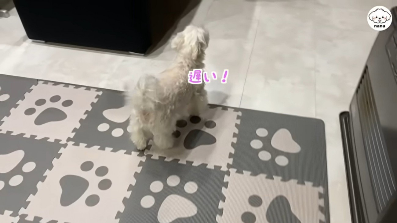 パパさんの帰りを待つナナくん8