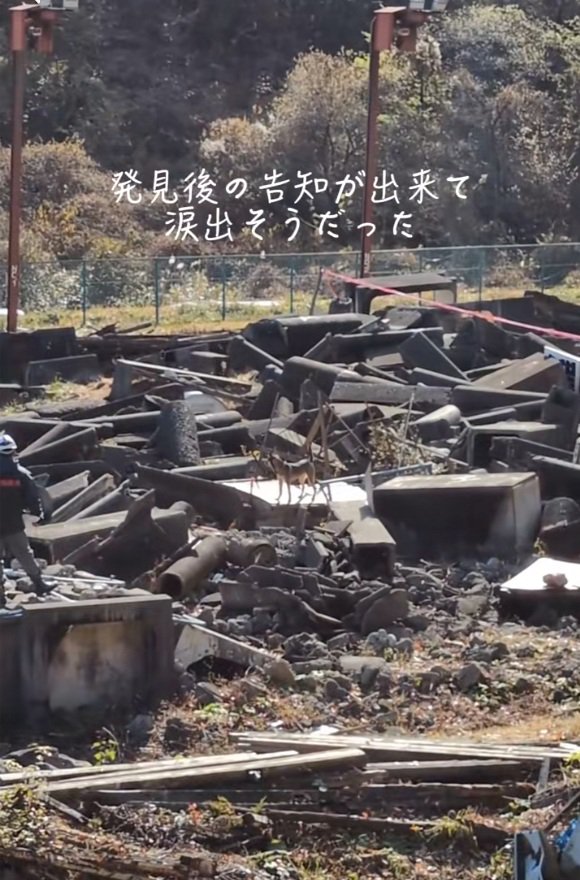 発見後の告知ができたまる君