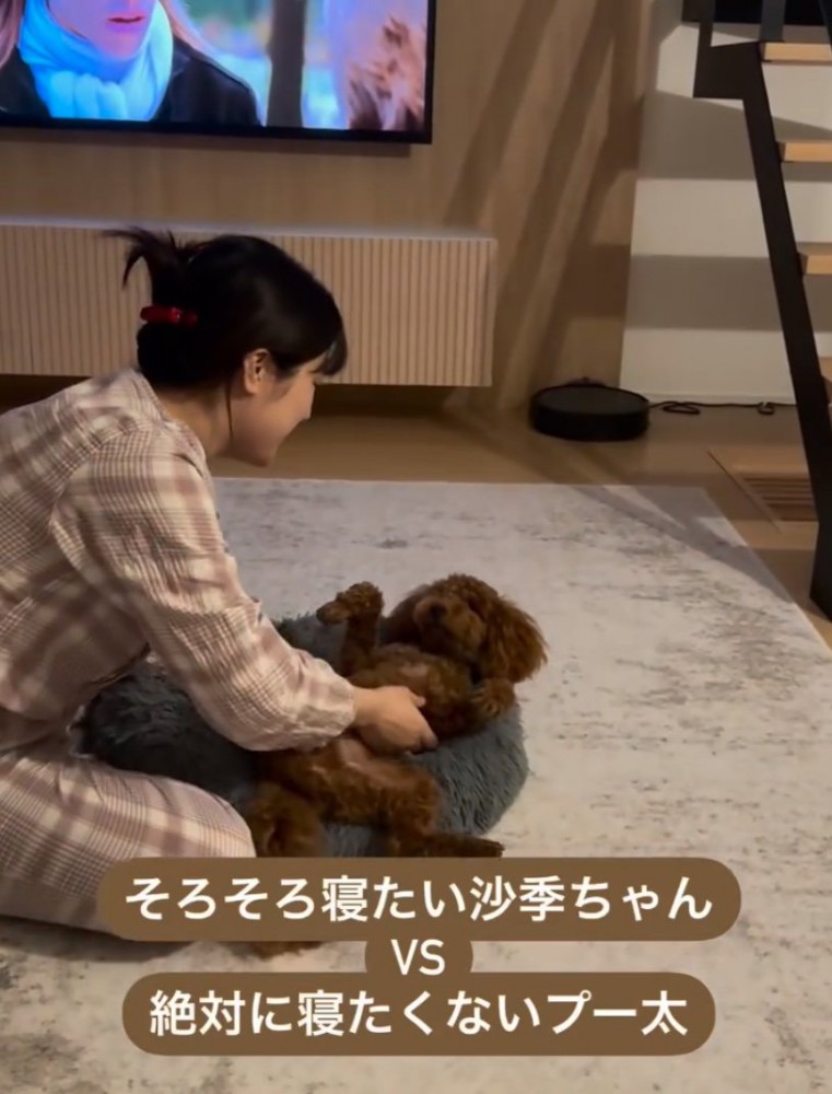 寝ようとしない犬
