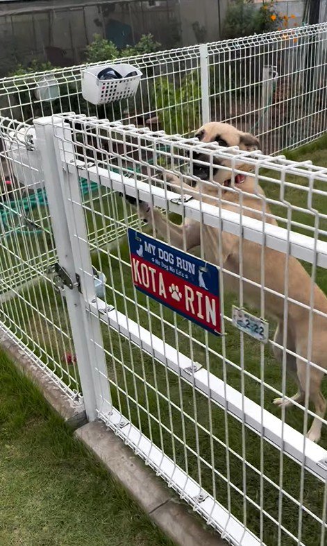 外で遊んでいた幸太郎くんと凛ちゃん5