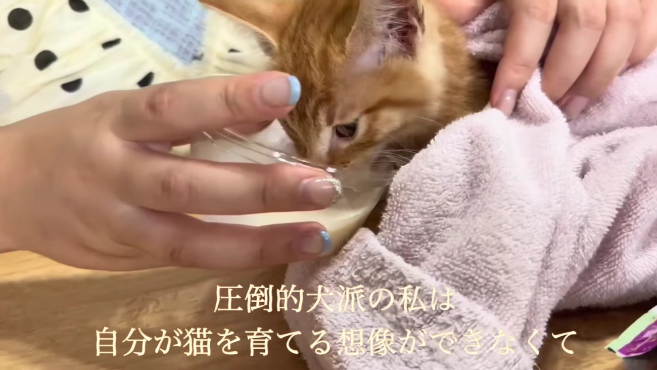 里親募集を考えたけど…