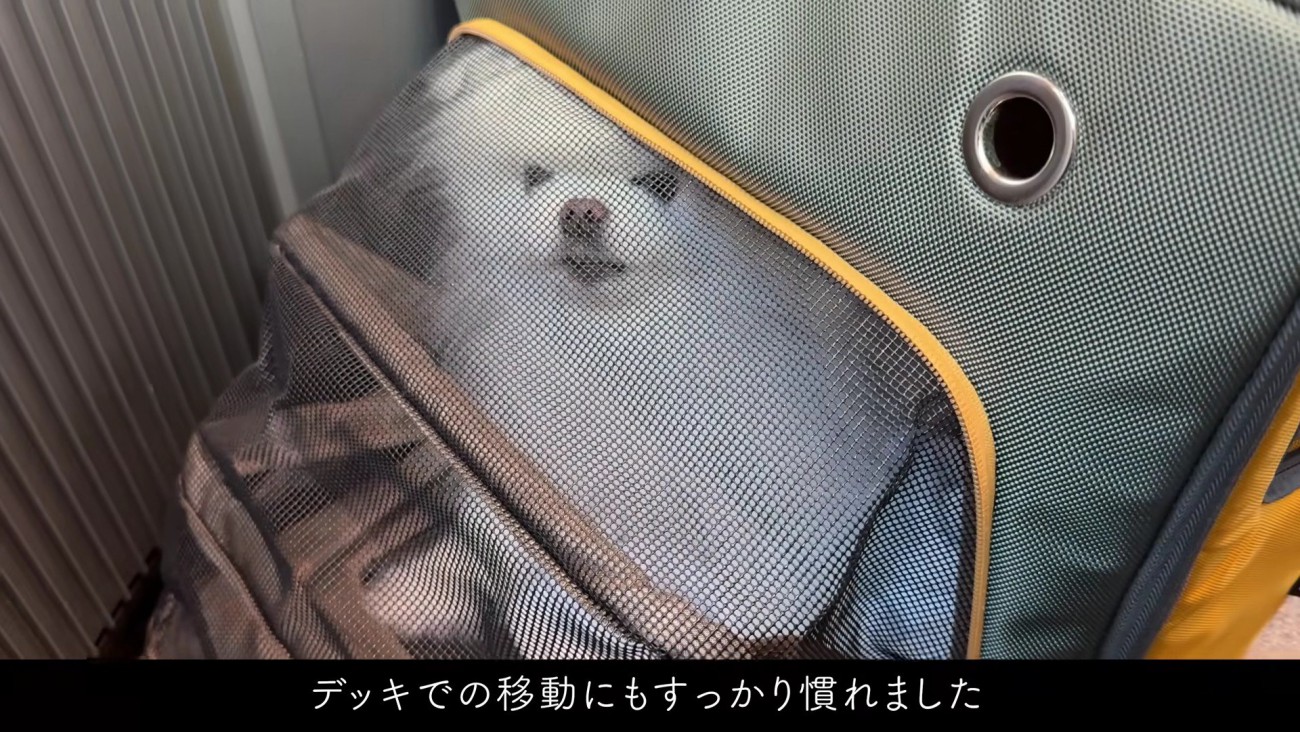 新幹線での移動も慣れたもの