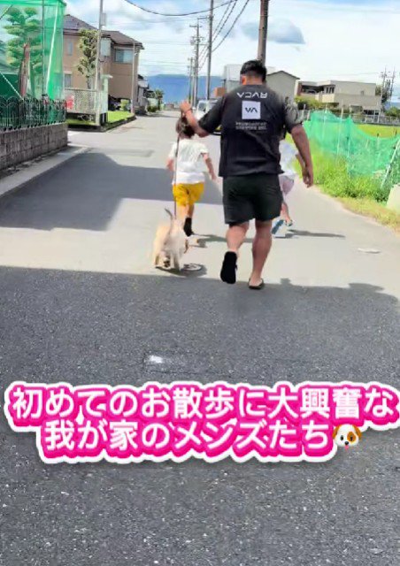 ルカちゃんと家族のお散歩
