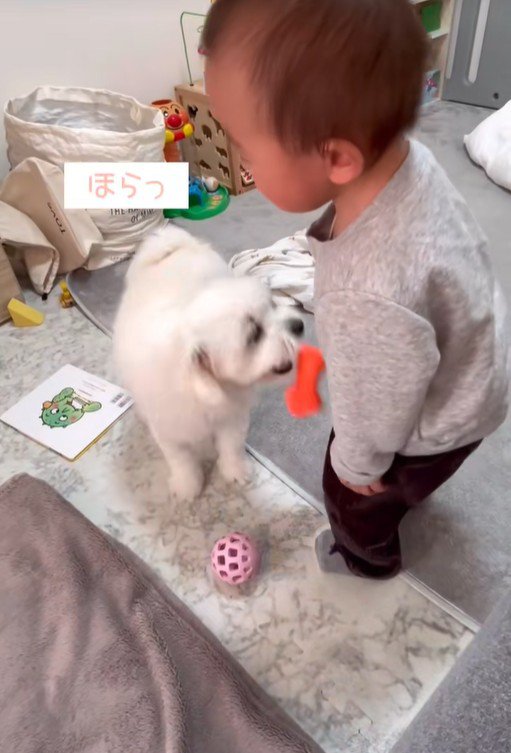 リリちゃんと赤ちゃん5