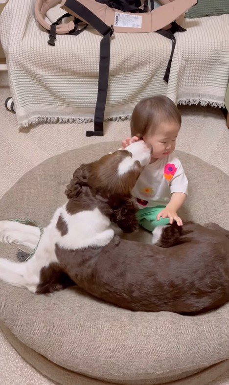 ププくんと娘さん8