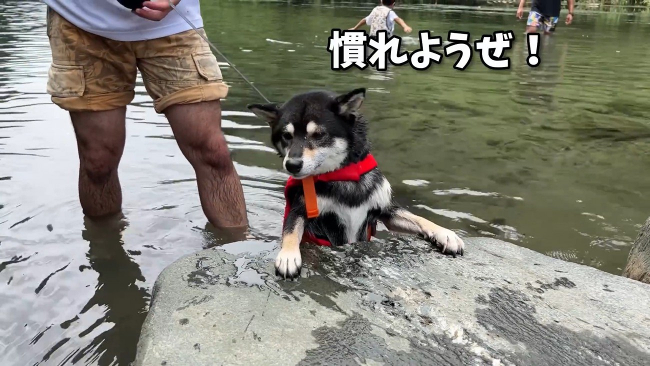 水嫌いは克服できませんでした…