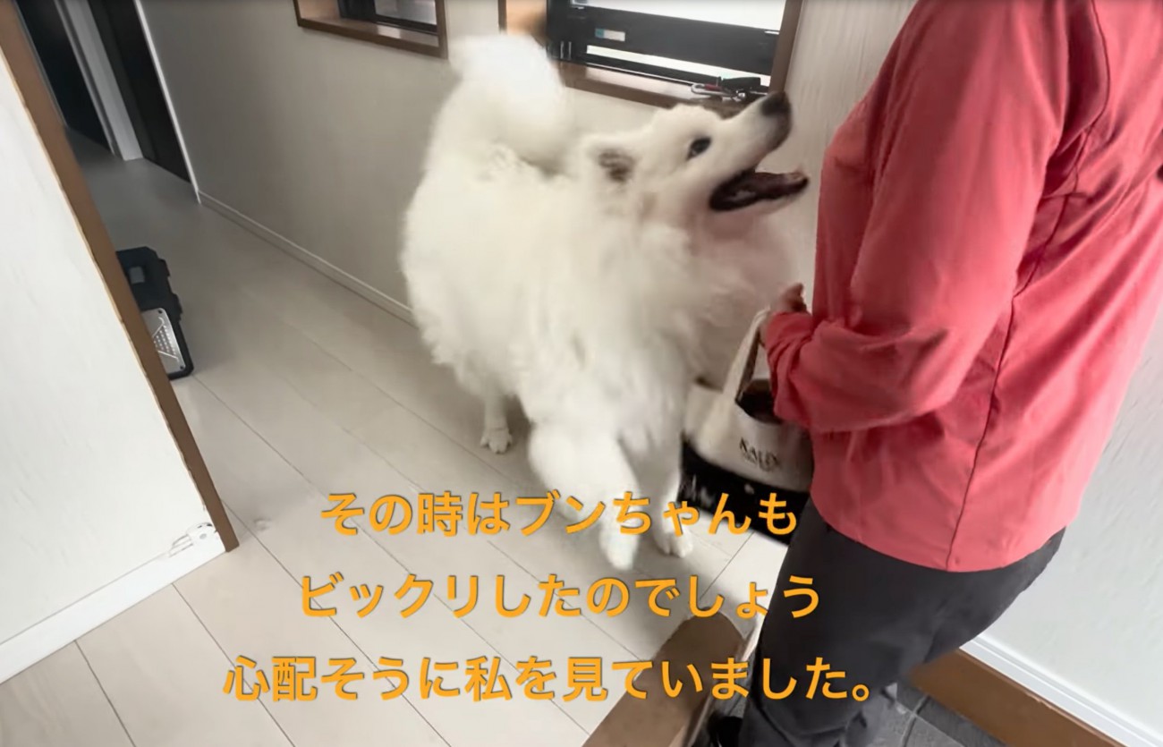 嬉しそうに足元を歩き回るセブンちゃん