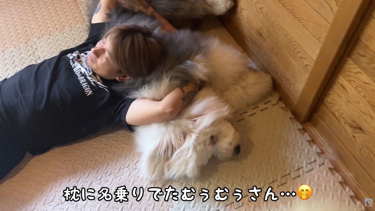 パパの枕になる大型犬