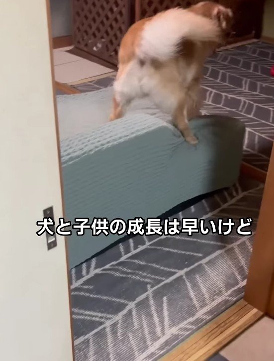 成長は速いけれど…