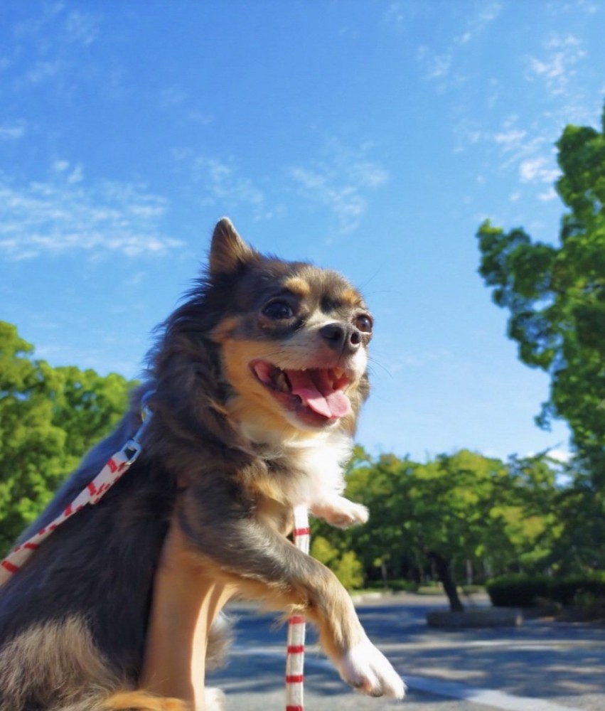 楽しかった毎日